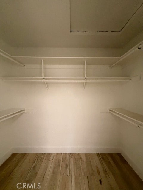 Building Photo - 6733 Corintia St