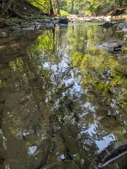 Building Photo - 5648 state route 53