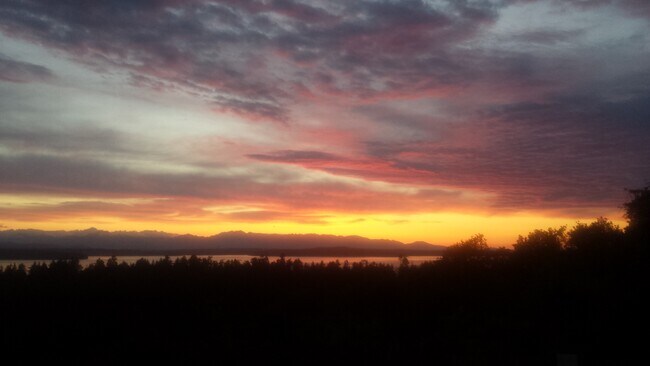 Building Photo - 8261 Northrop Plz SW