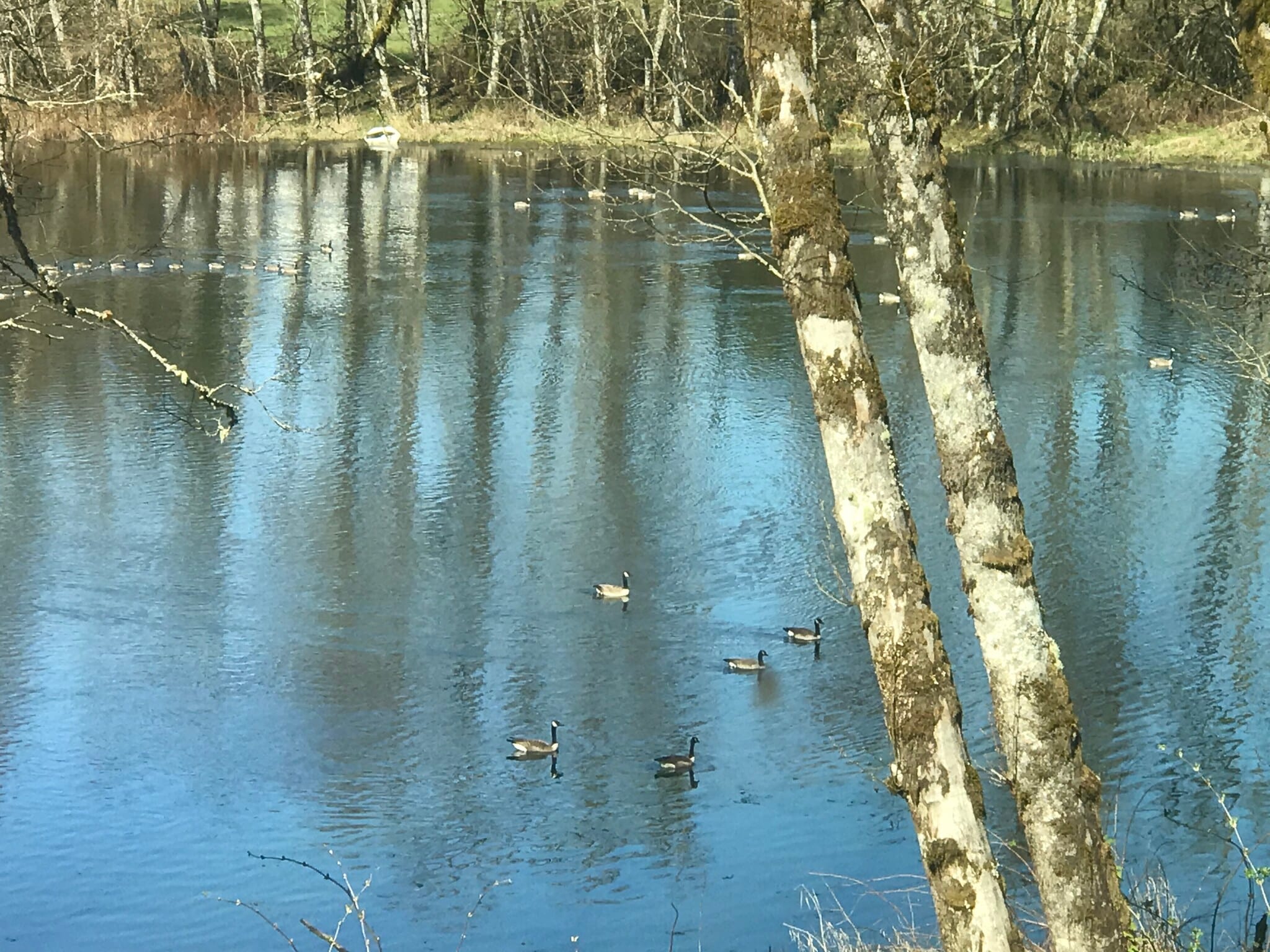 Building Photo - 15116 NE Grantham Rd