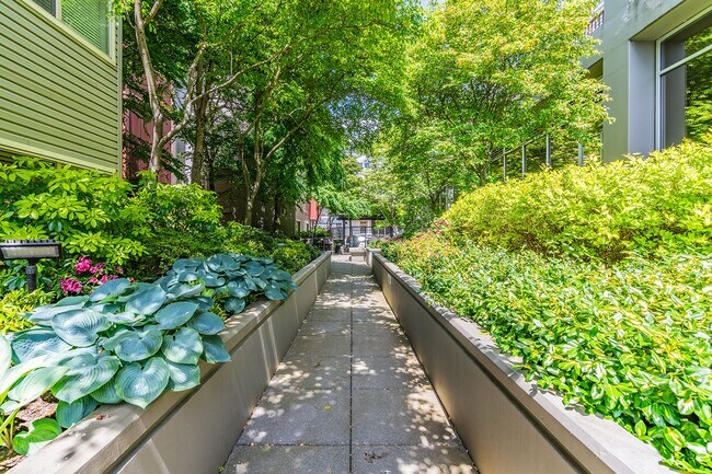 Building Photo - Huge Central Area Studio with PARKING and ...