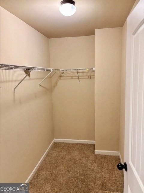 Building Photo - 193 Camellia Ct