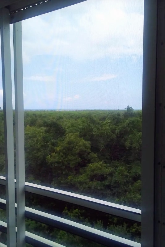 Building Photo - 15171 Cedarwood Ln