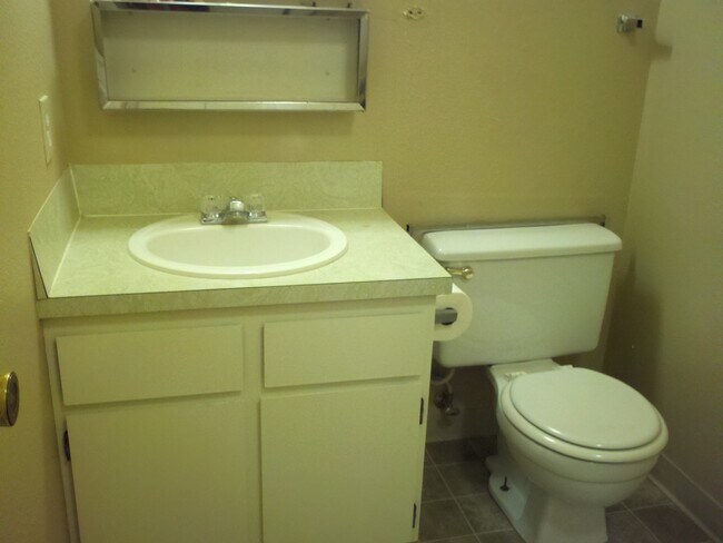 downstairs bath - 479 White Cloud Dr