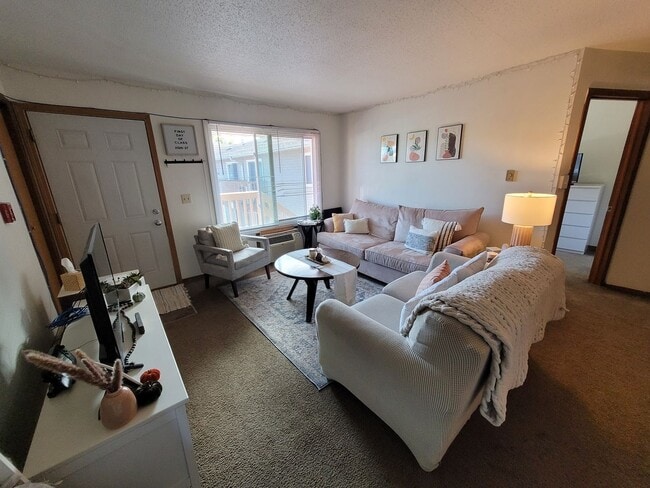 Interior Photo - vine