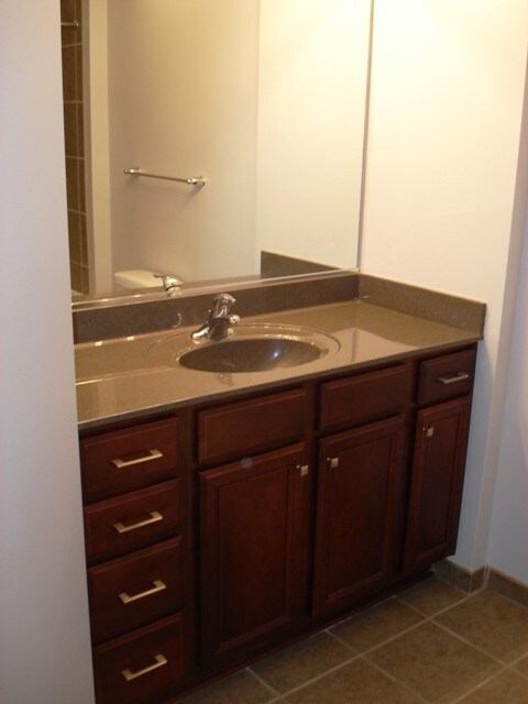Bathroom - 1600 S Indiana Ave