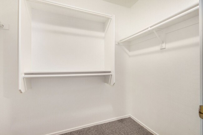 Building Photo - New Listing in Buckeye