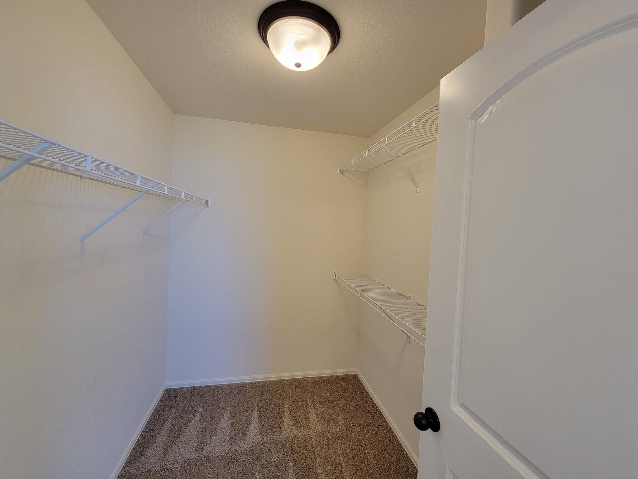 Building Photo - 1823 Abundance Dr