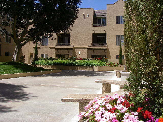 Patio View - 3440 Lebon Dr