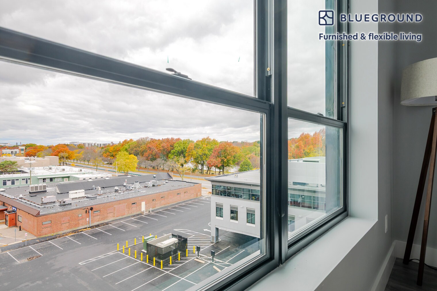 Building Photo - 365 Western Ave