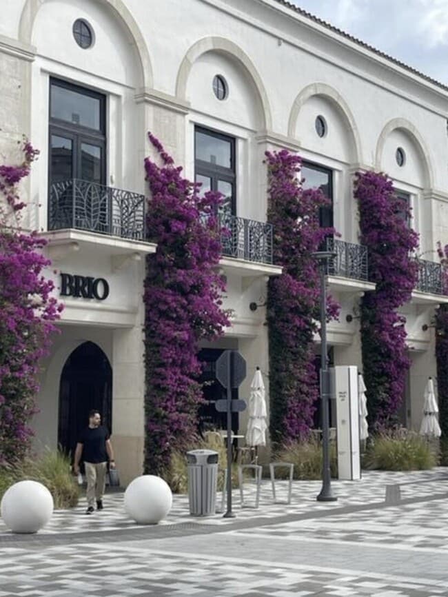 Building Photo - 3516 Whitehall Dr