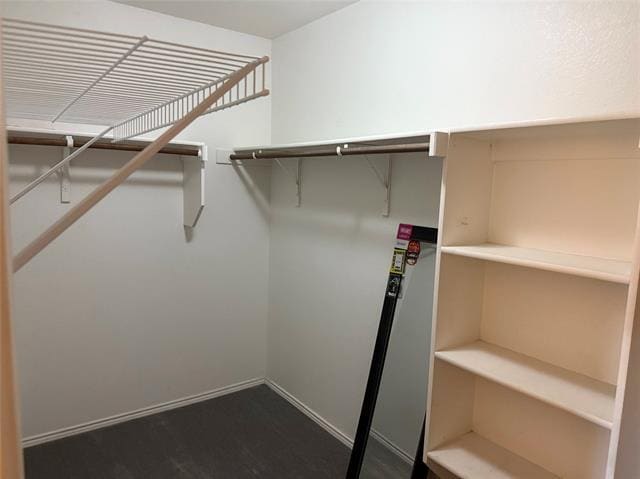 Building Photo - 11617 Summer Springs Dr