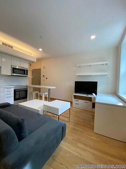 Primary Photo - 115 Mt Auburn St