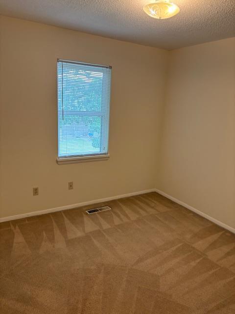 Building Photo - 1121 Alice Dr