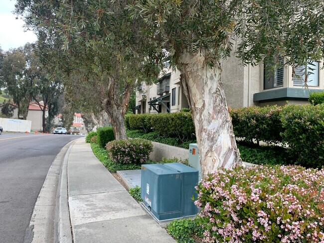 Free Parking on Street - 10021 Paseo Montril