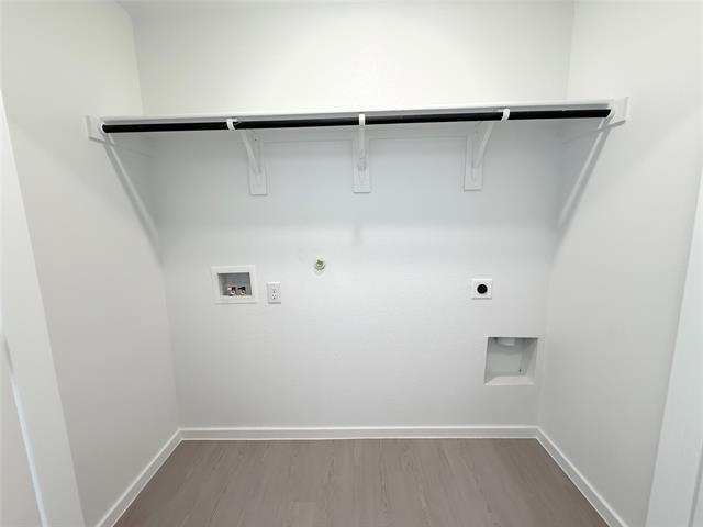 Building Photo - 3113 Burmese St