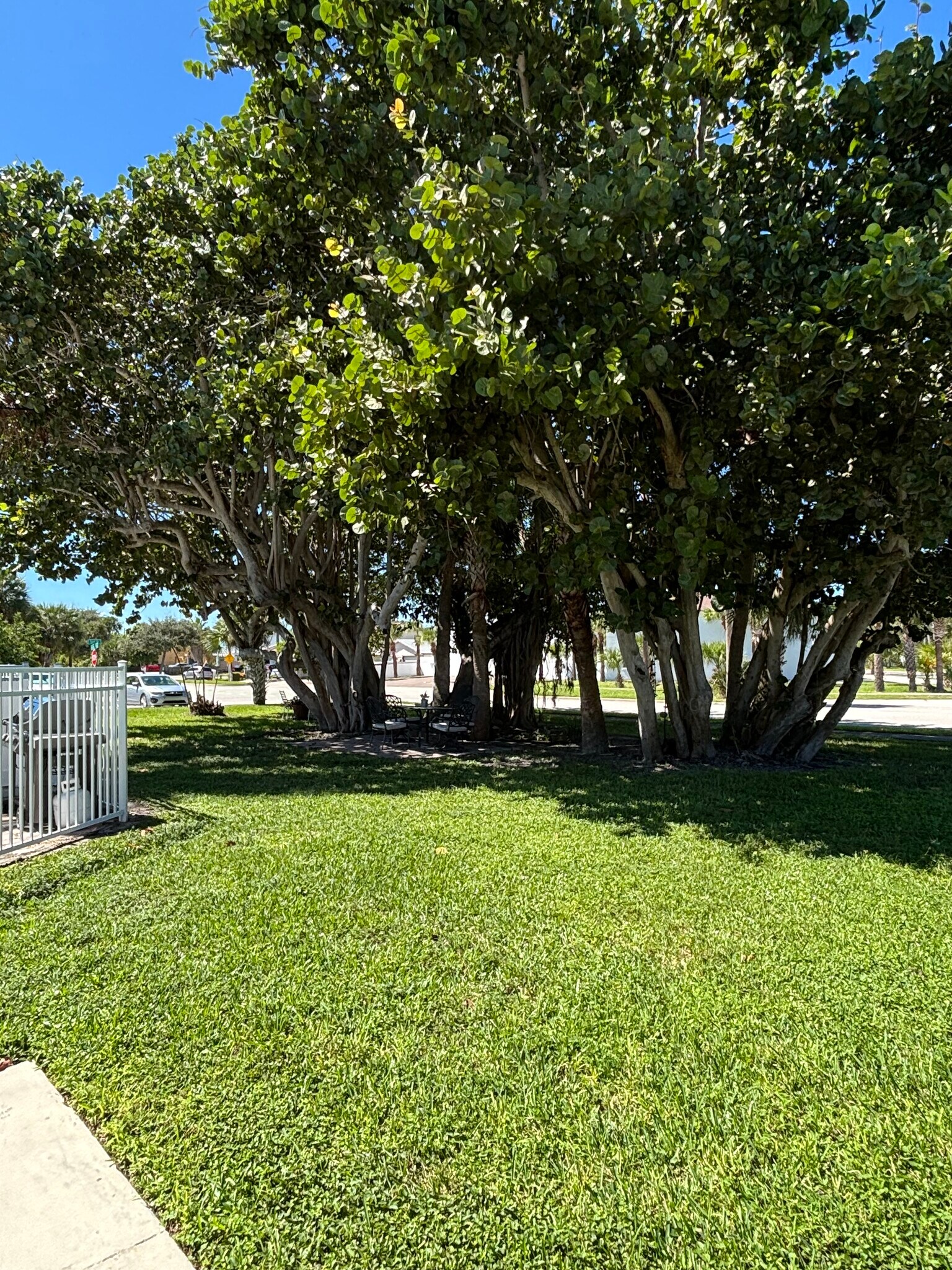 Building Photo - 299 E Central Blvd