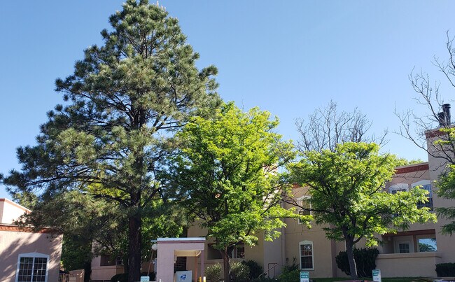 Building Photo - 2501 W Zia Rd