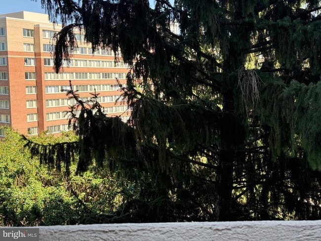 Building Photo - 1101 S Arlington Ridge Rd