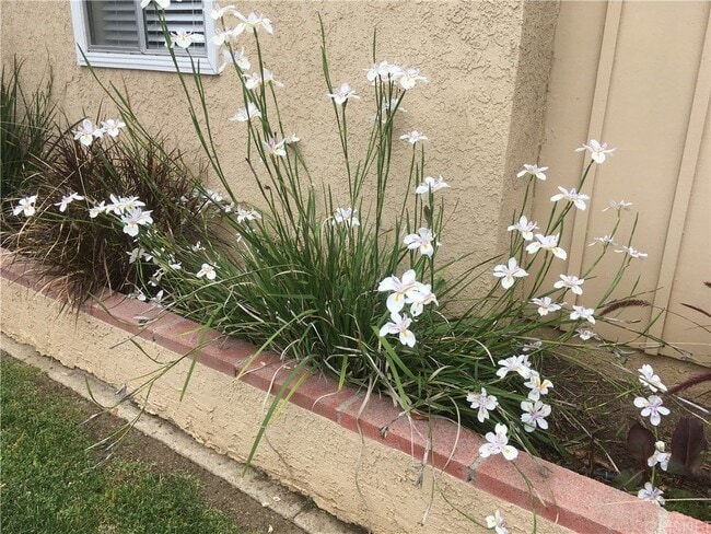 Building Photo - Spacious 3BR/2BA Tarzana Home with Lush Yard & Sunny Patio