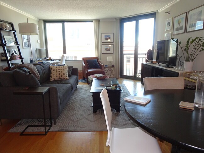 Building Photo - 480 N McClurg Ct