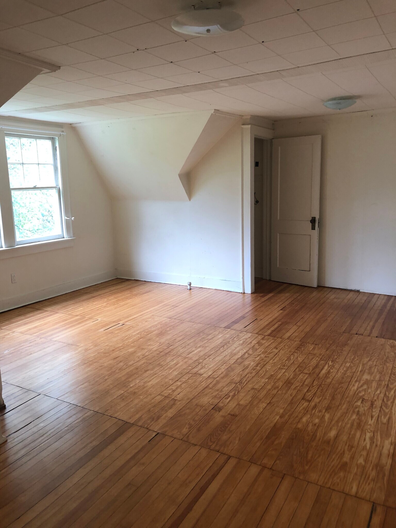 Building Photo - 245 E Hamilton Ave