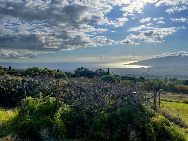 Building Photo - Quiet upcountry Studio Ohana in upper Kula