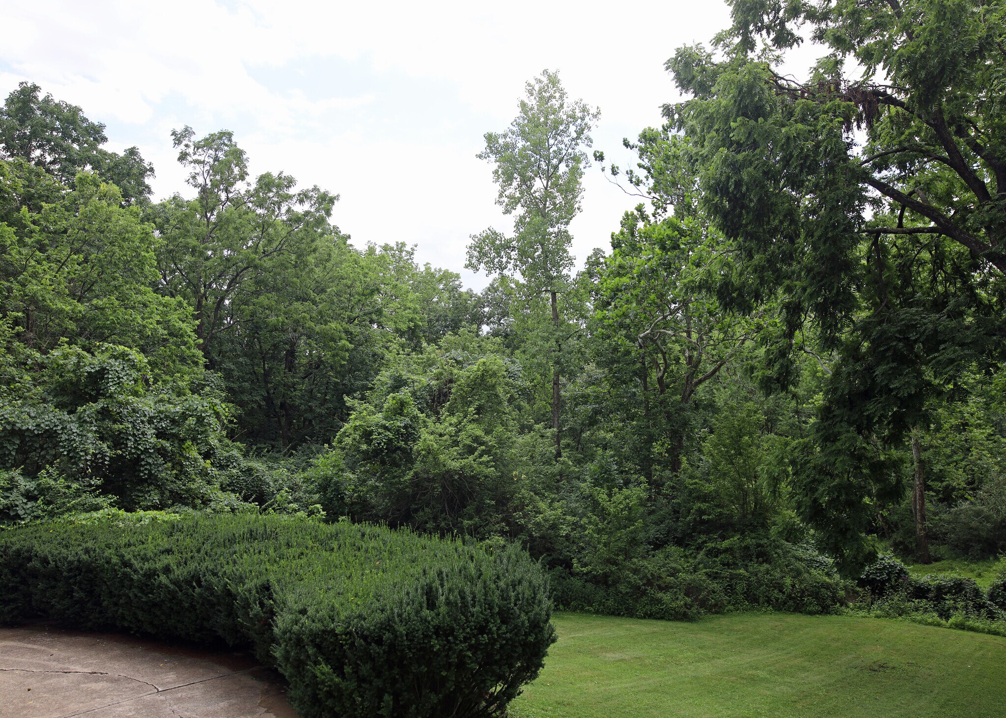 Building Photo - 8267 Riverside Dr