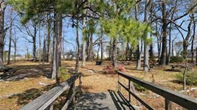 Building Photo - Kempsville Condo