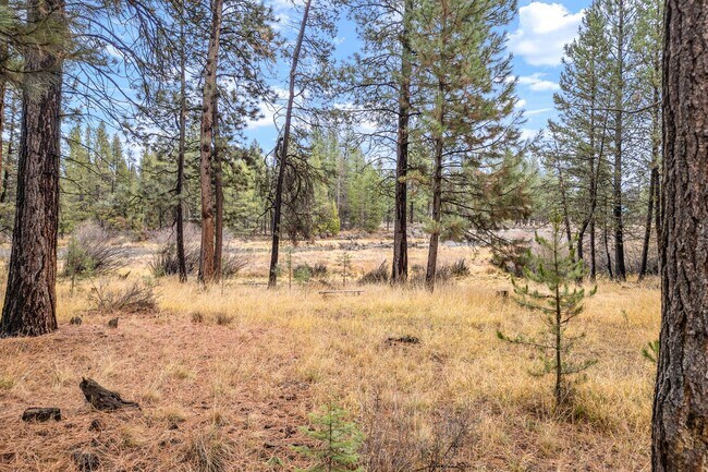 Building Photo - Unfurnished Peaceful River Retreat – Moder...