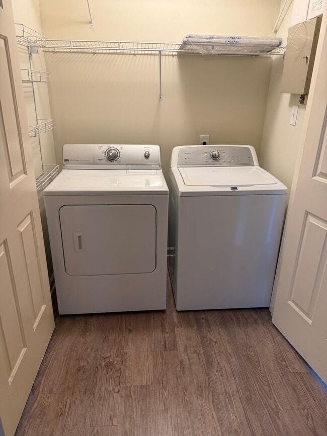 Building Photo - 3 BR/2BA | Newly Renovated Single Family Home |Attached garage  | Fenced  backyard | In Cordova!