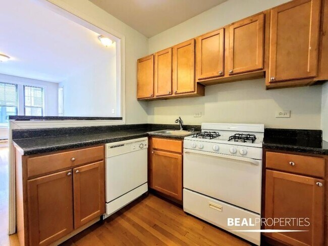 Building Photo - 0 bedroom in CHICAGO IL 60657
