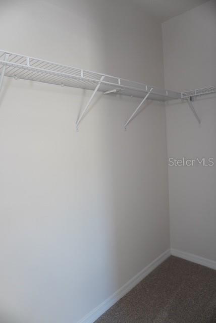 Building Photo - 4666 Stargazer Ct