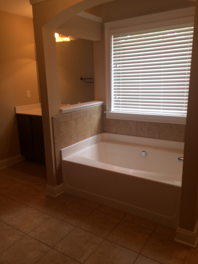 Master bathroom - 319 Haywood Dr