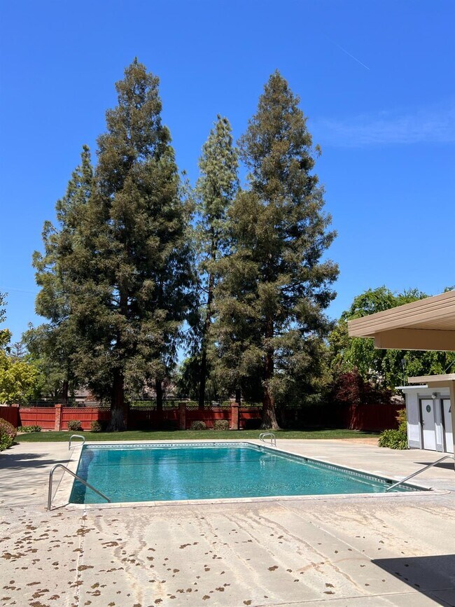 Building Photo - 479 E Alluvial Ave