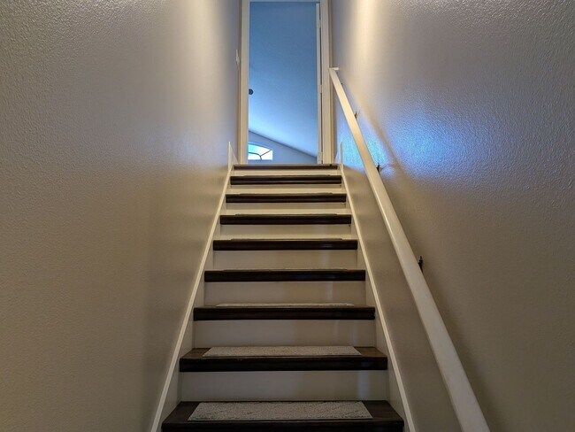 Building Photo - 5/3 Single Family Home at East Lake Cove i...