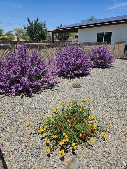 Building Photo - 405 E Mohave Rd