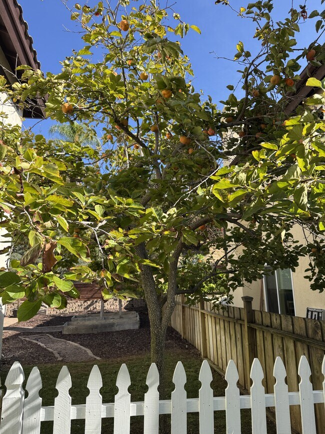 Building Photo - 14269 Dalhousie Rd