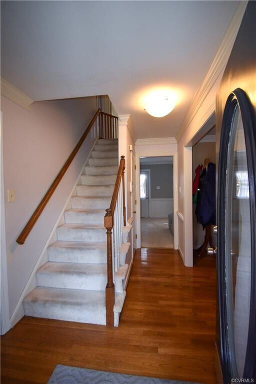 Bon Air Executive Home Called "Sunny Days" 10013 Old Bon Air Pl