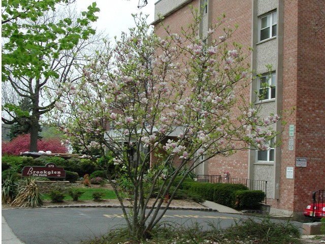 Building Photo - Brookglen Apartments