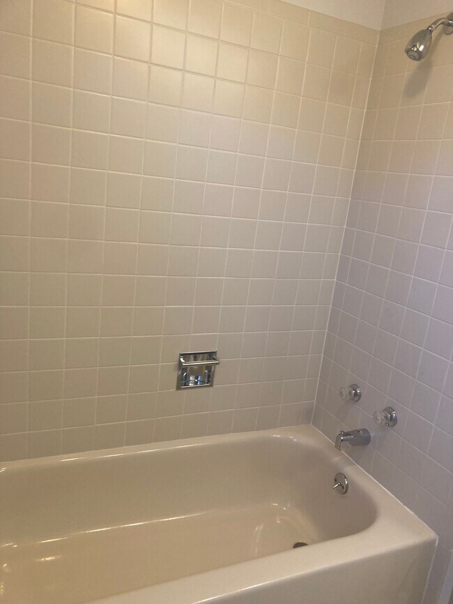 2nd upstairs bath - 919 S Granby Way