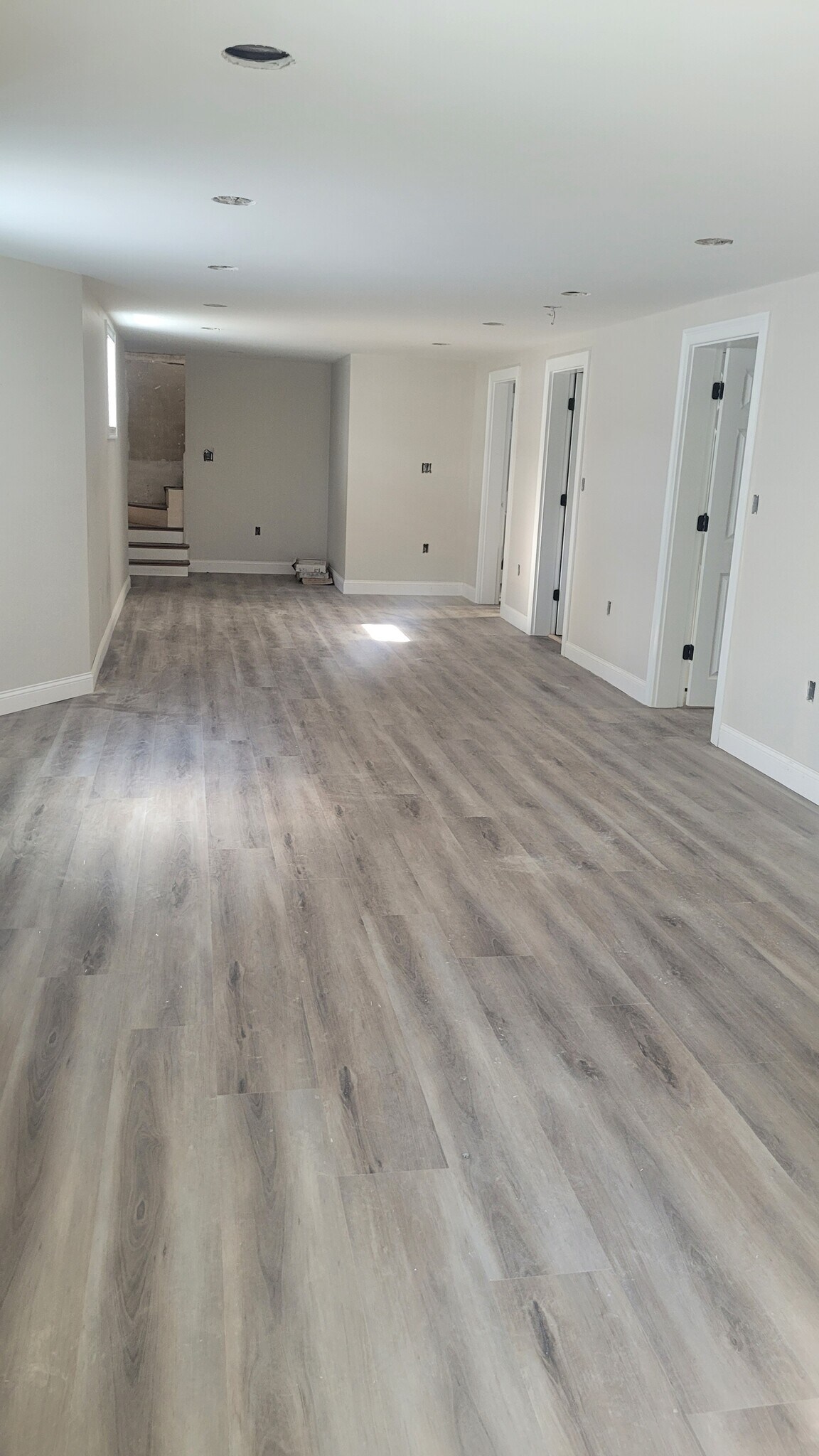 Lower level living area - 29 Amaranth Ave