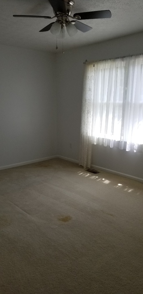 Building Photo - 309 Crestwood Ct