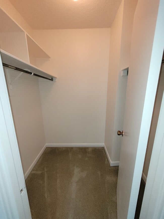 Walk-in Closet - 3709 S George Mason Dr