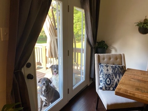 Dining room to deck - 316 Wardley Rd