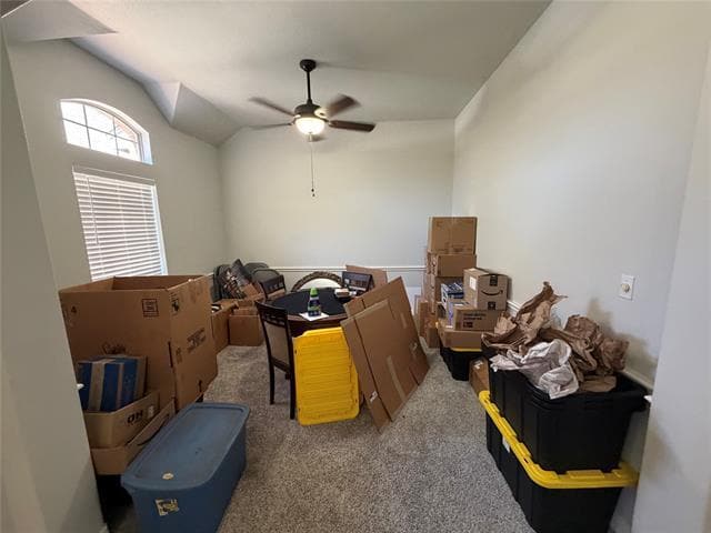 Building Photo - 703 Chandler Ct