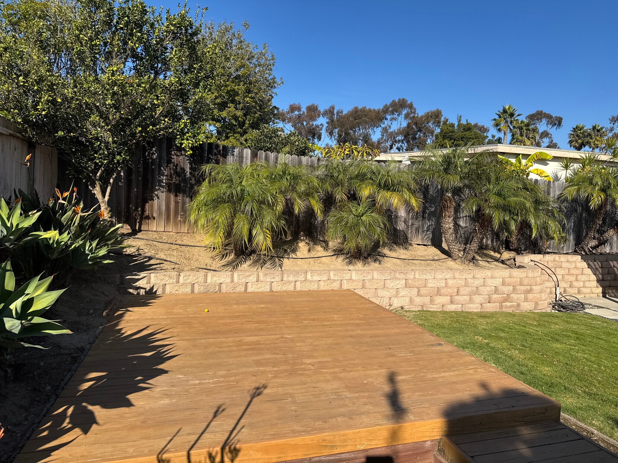 Building Photo - 264 Rosebay Dr