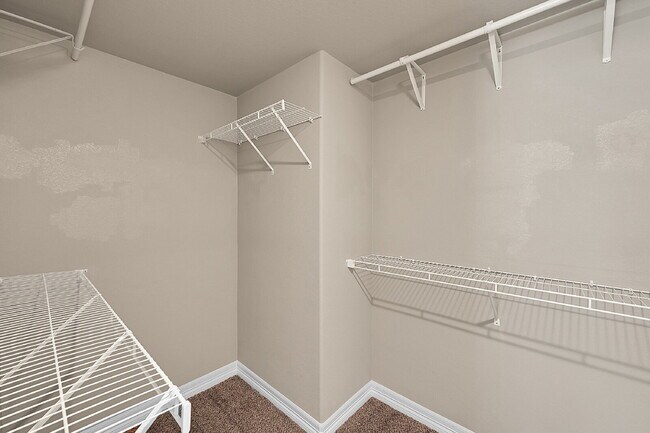 Building Photo - $2,550 - 4 Bed, 3 Bath Home in Colorado Sp...