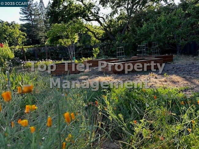 Building Photo - 171 Via Bonita