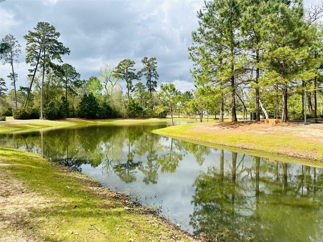 Building Photo - 6 Gentle Branch Pl